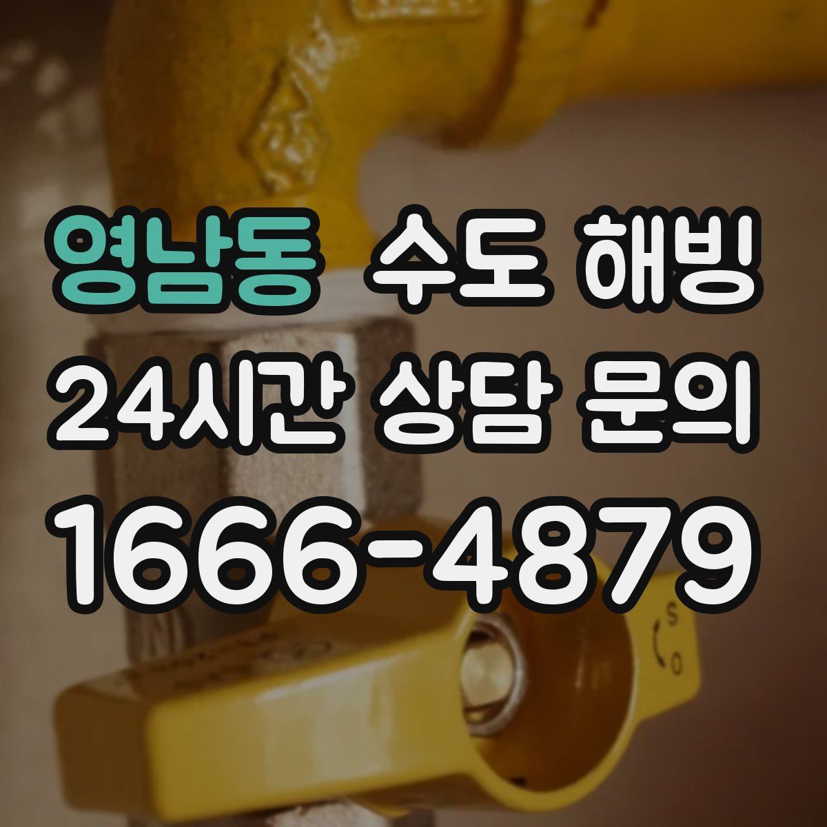 영남동 수도 해빙