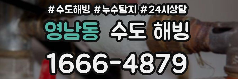 영남동 수도 해빙