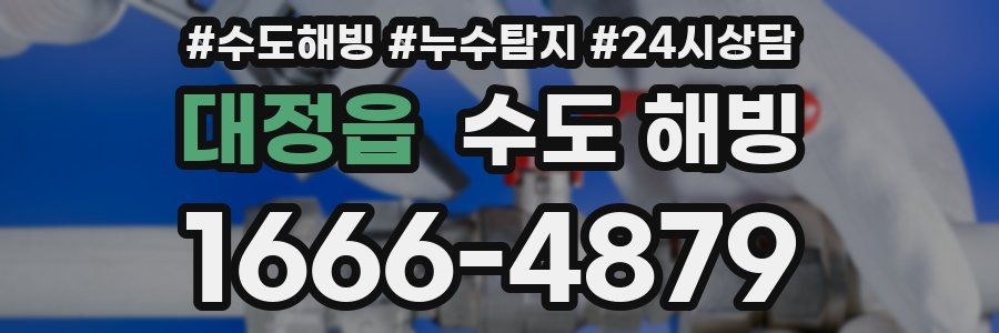 대정읍 수도 해빙