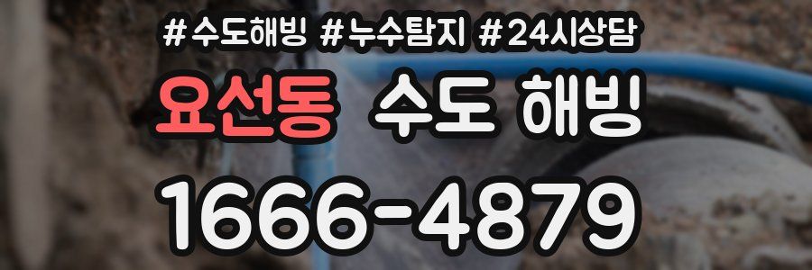 요선동 수도 해빙