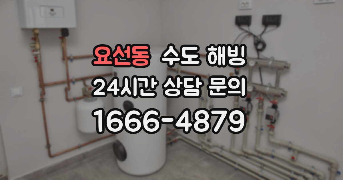 요선동 수도 해빙