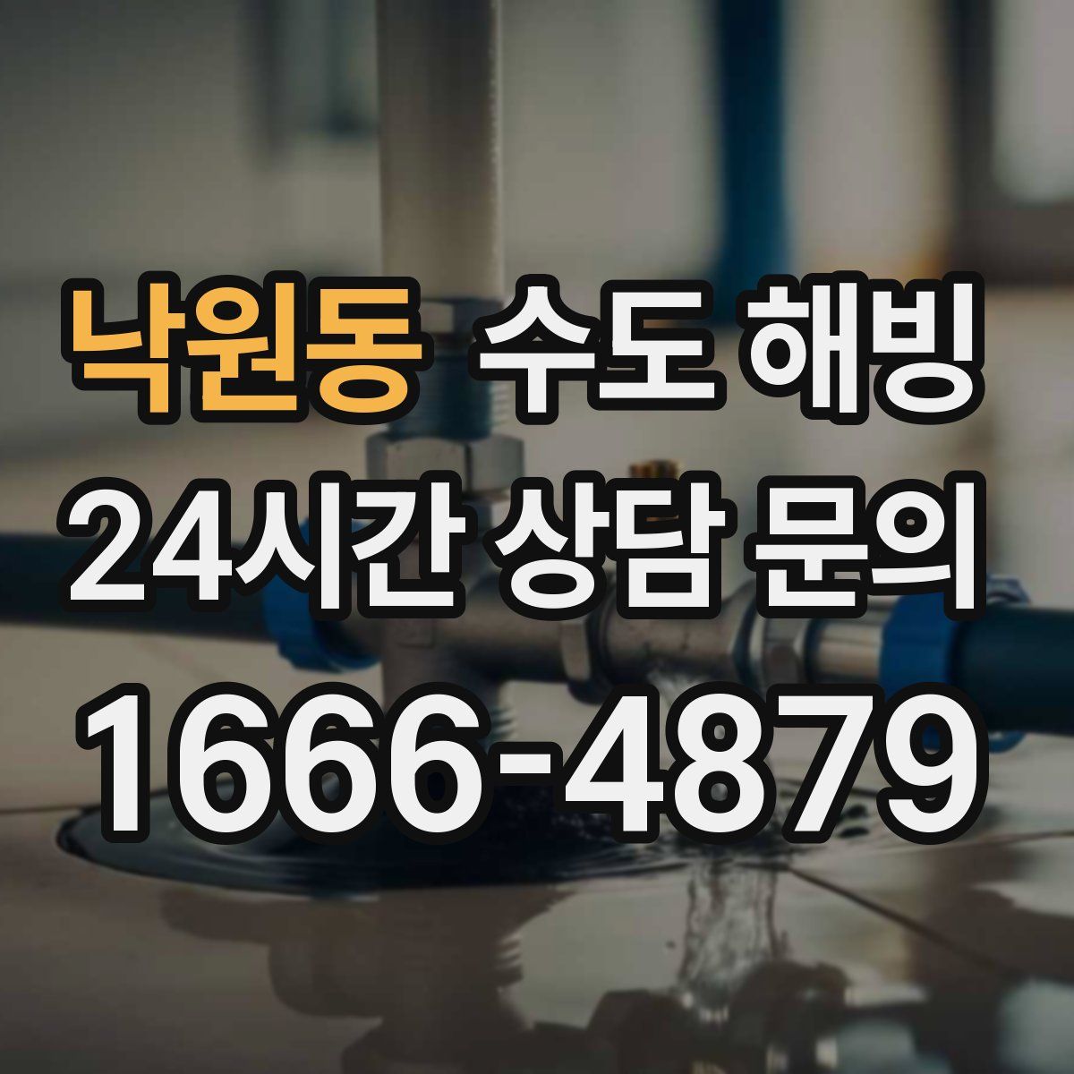 낙원동 수도 해빙