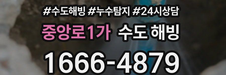 중앙로1가 수도 해빙