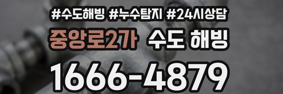 중앙로2가 수도 해빙