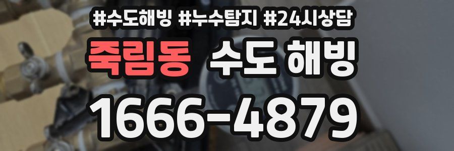 죽림동 수도 해빙