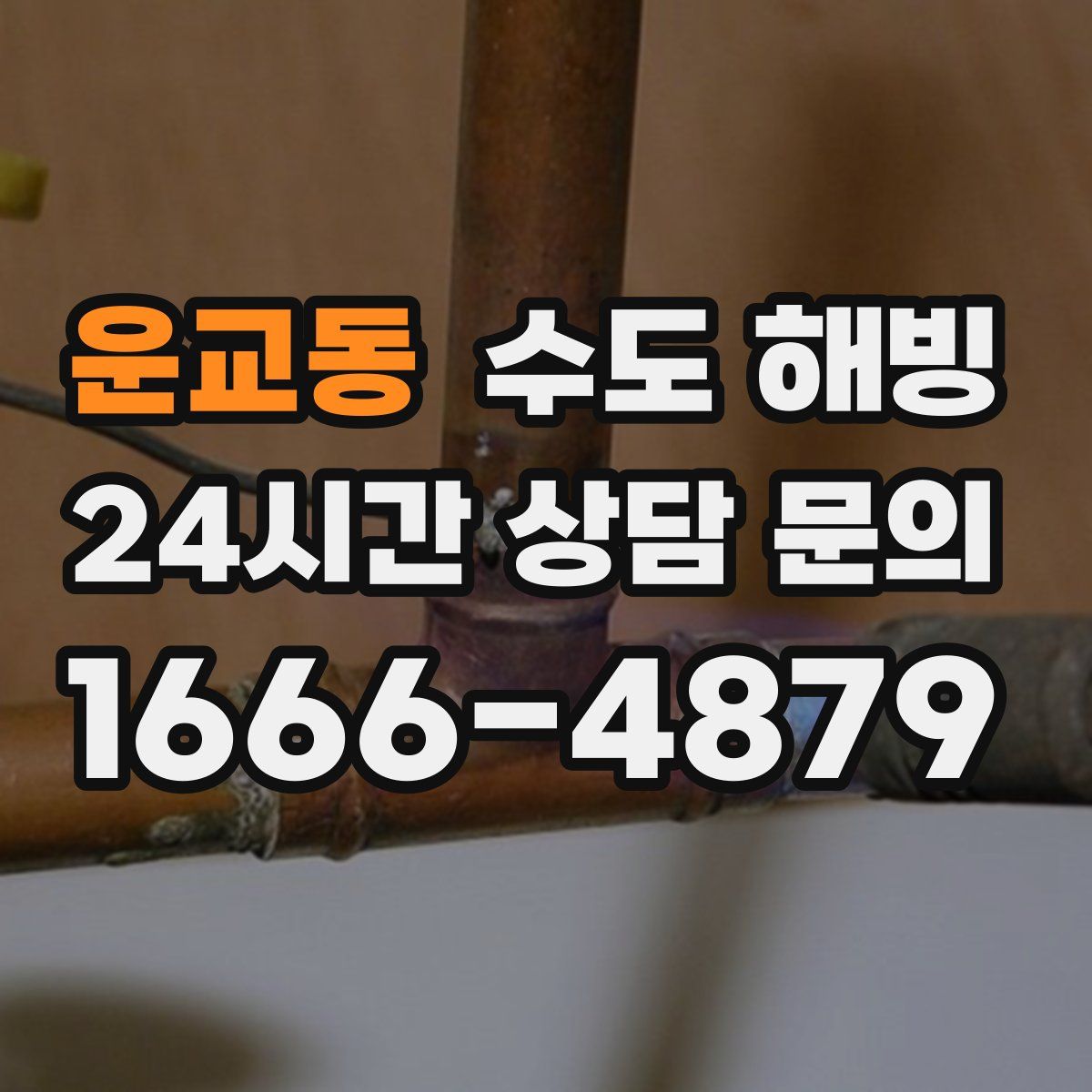 운교동 수도 해빙