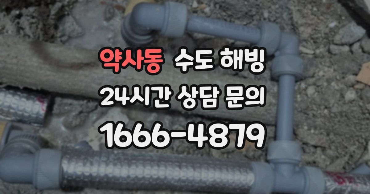 약사동 수도 해빙