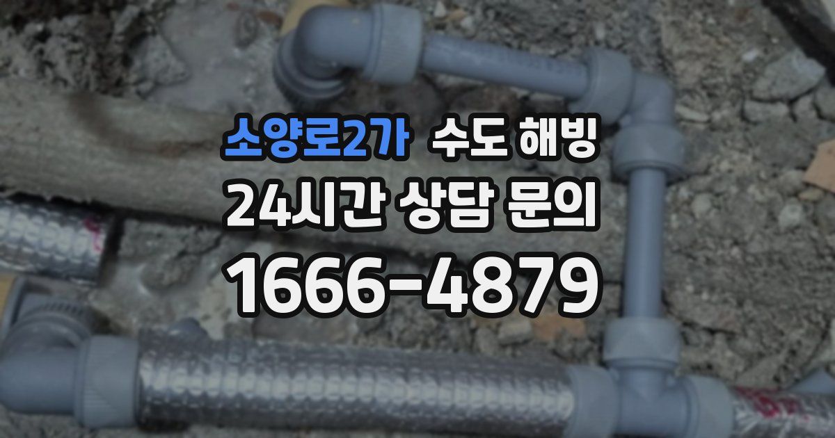 소양로2가 수도 해빙