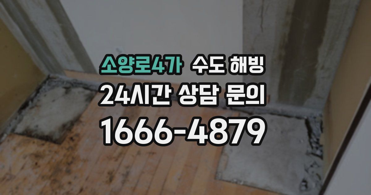 소양로4가 수도 해빙