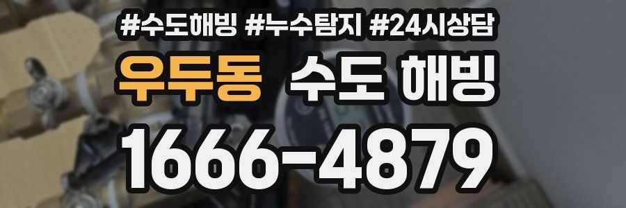 우두동 수도 해빙