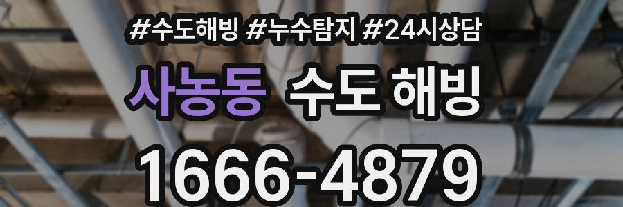 사농동 수도 해빙