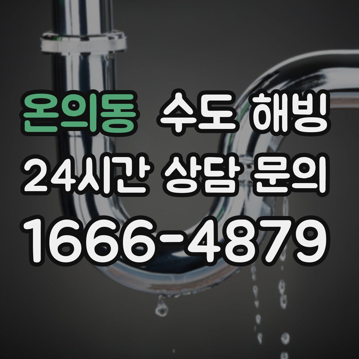 온의동 수도 해빙