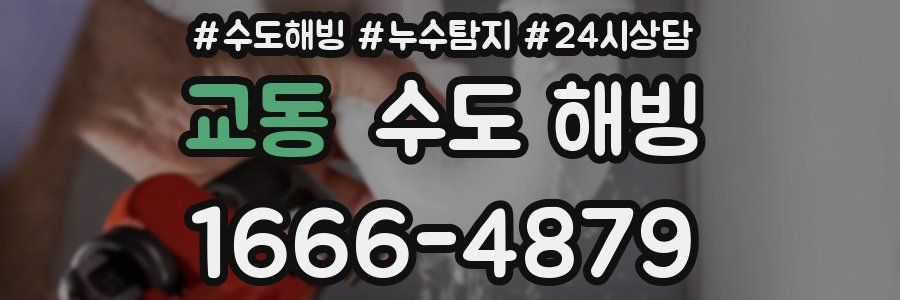 교동 수도 해빙