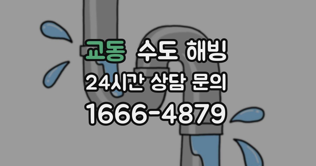 교동 수도 해빙