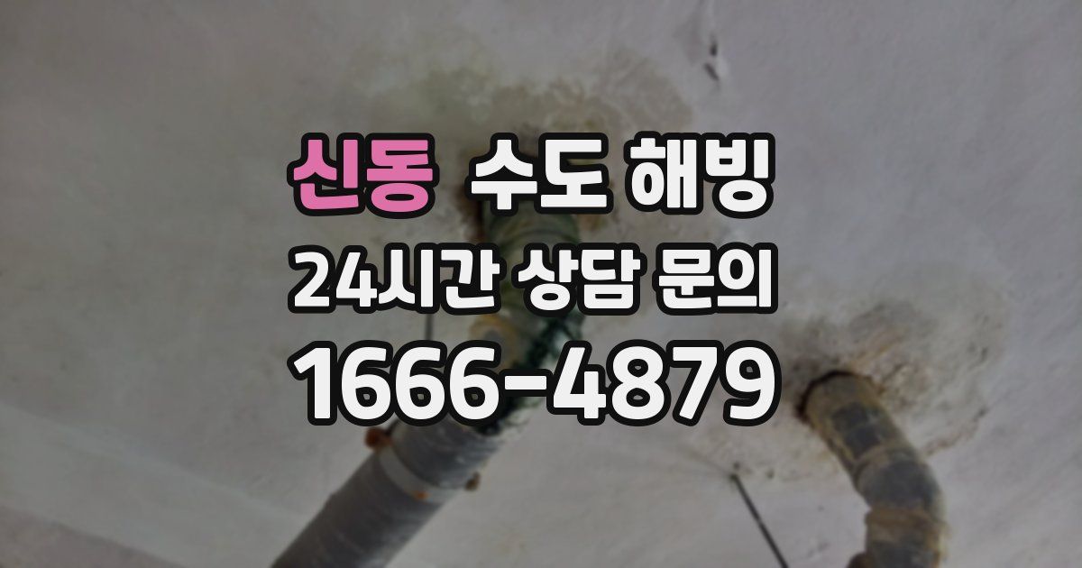 신동 수도 해빙