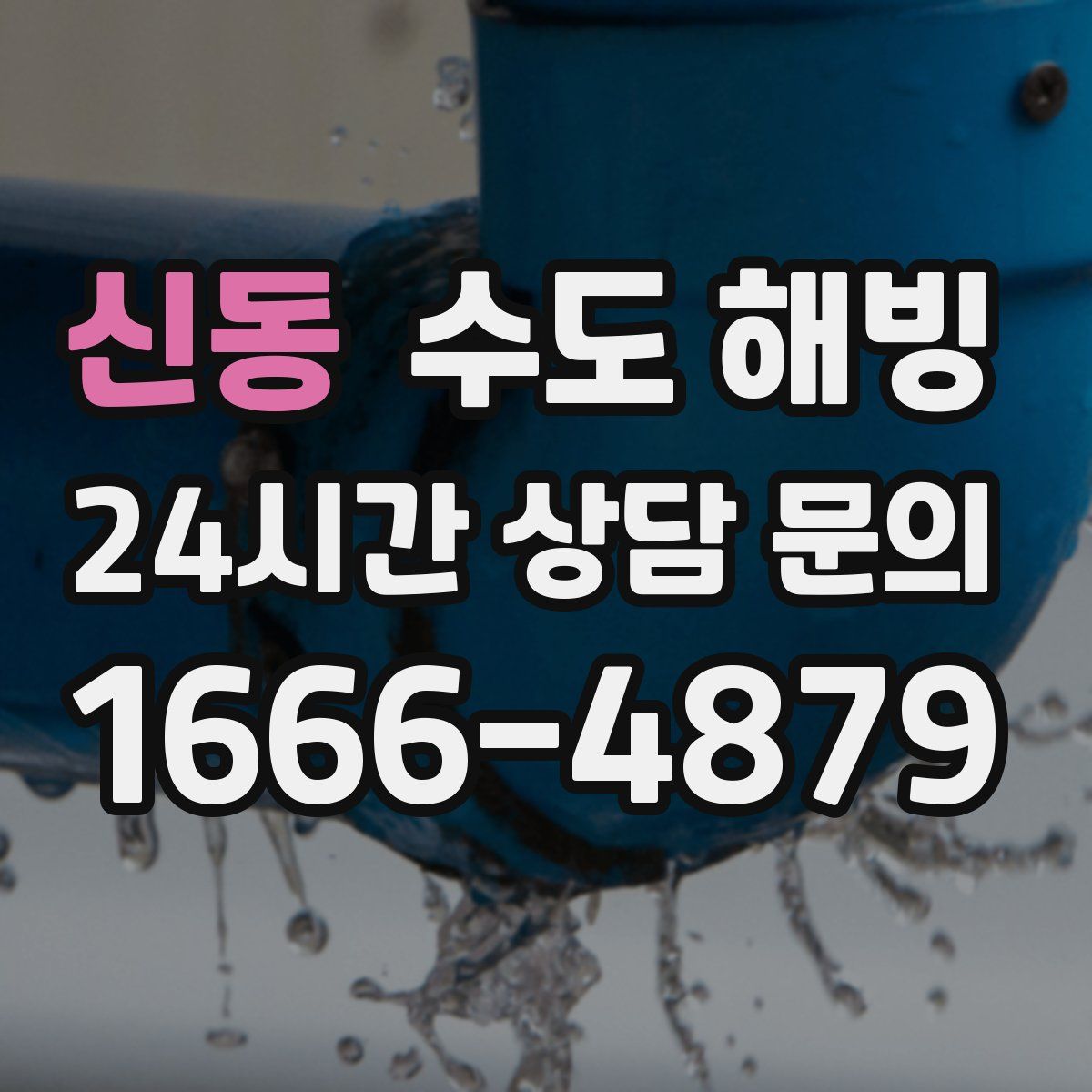 신동 수도 해빙