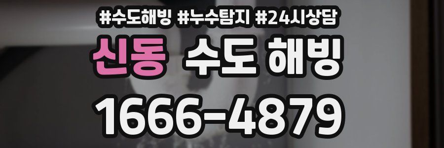 신동 수도 해빙