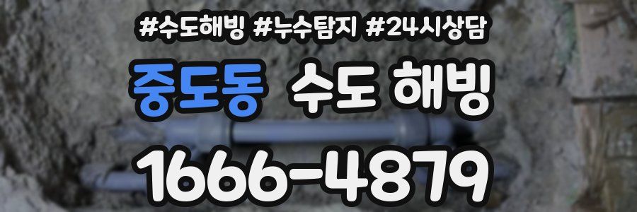 중도동 수도 해빙