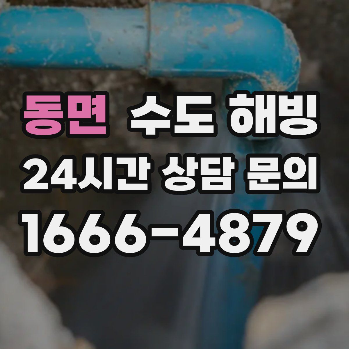 동면 수도 해빙