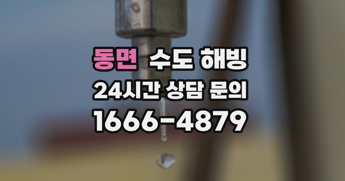 동면 수도 해빙