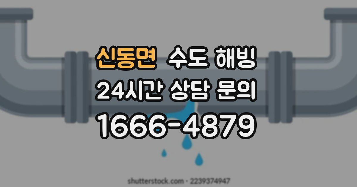 신동면 수도 해빙