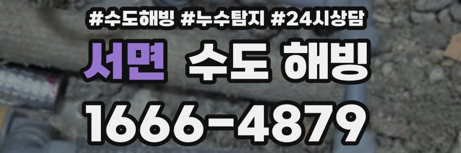 서면 수도 해빙