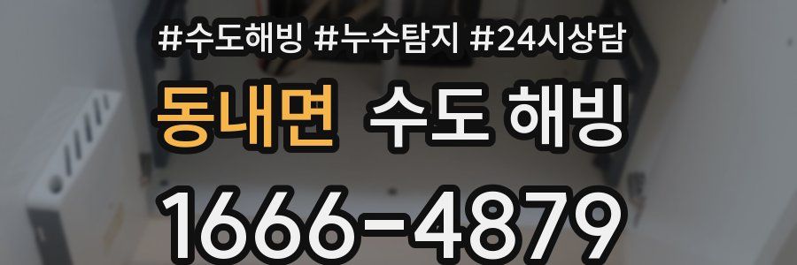 동내면 수도 해빙