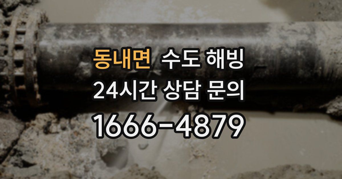 동내면 수도 해빙