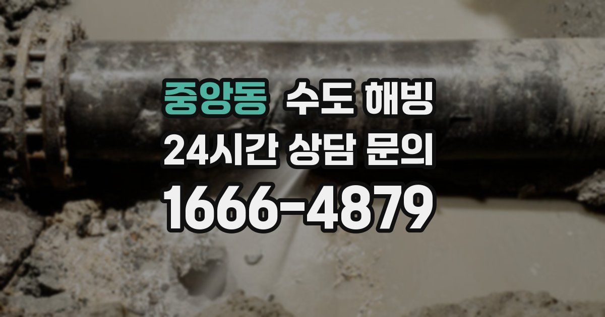 중앙동 수도 해빙