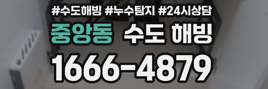 중앙동 수도 해빙