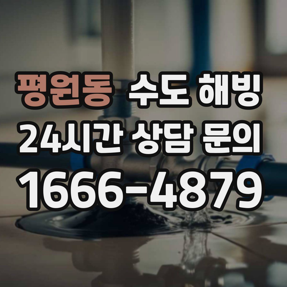 평원동 수도 해빙