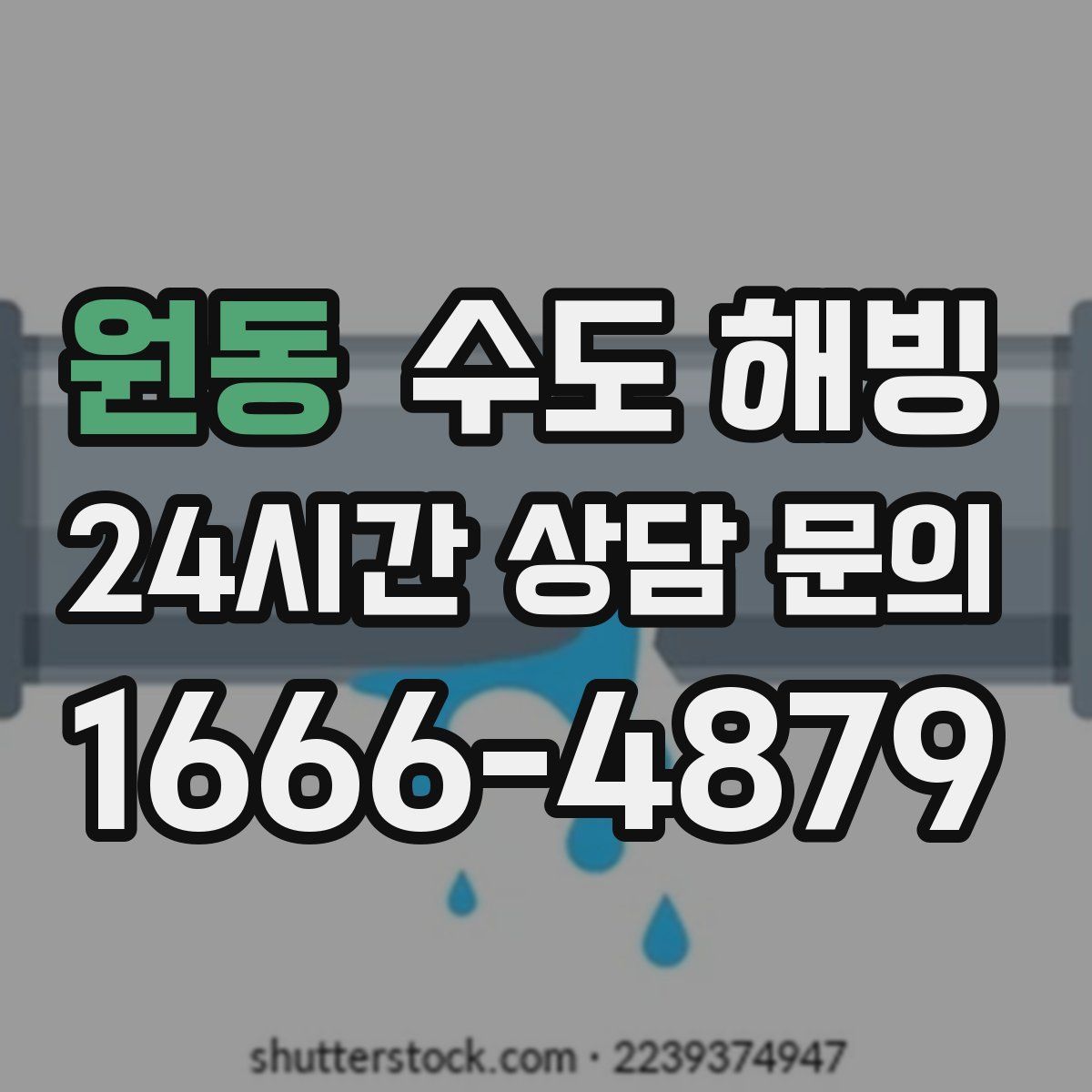 원동 수도 해빙