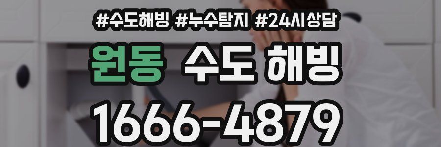 원동 수도 해빙