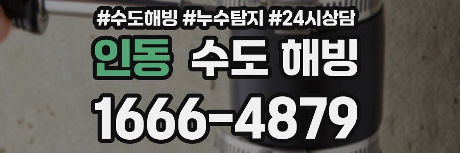 인동 수도 해빙