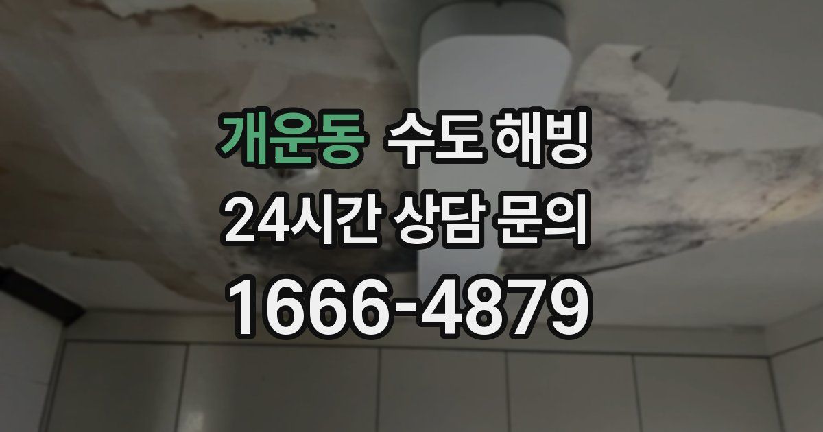 개운동 수도 해빙