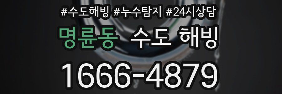 명륜동 수도 해빙