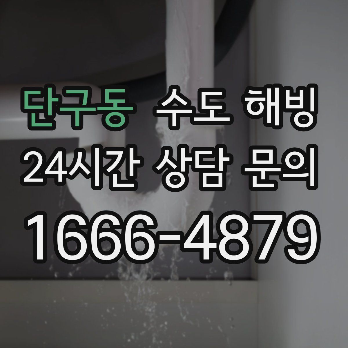 단구동 수도 해빙