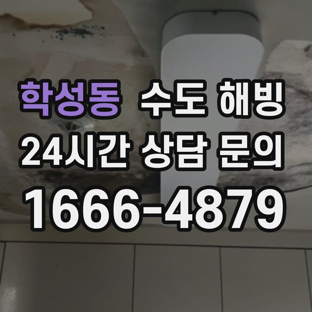 학성동 수도 해빙