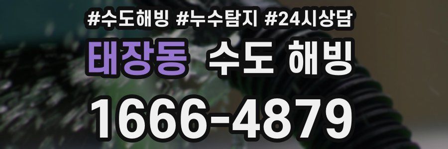 태장동 수도 해빙