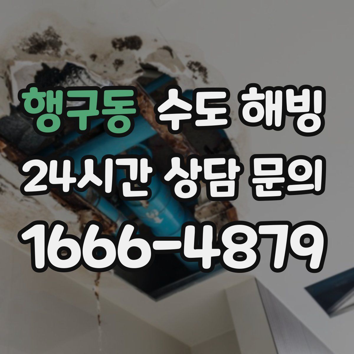 행구동 수도 해빙