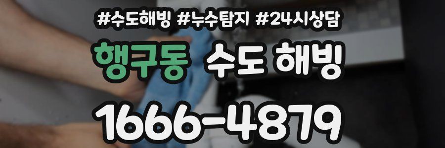 행구동 수도 해빙