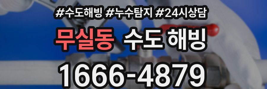 무실동 수도 해빙