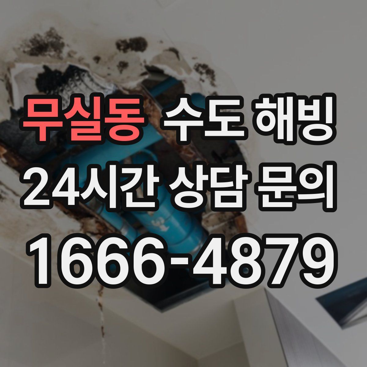 무실동 수도 해빙