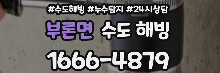 부론면 수도 해빙