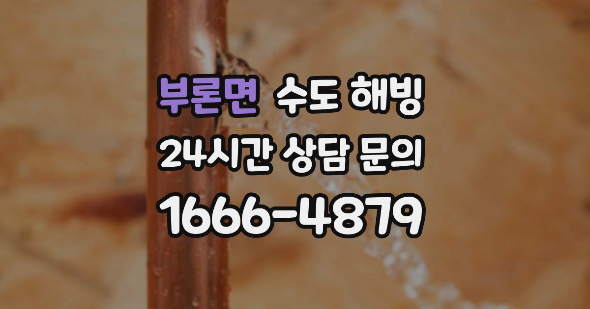 부론면 수도 해빙