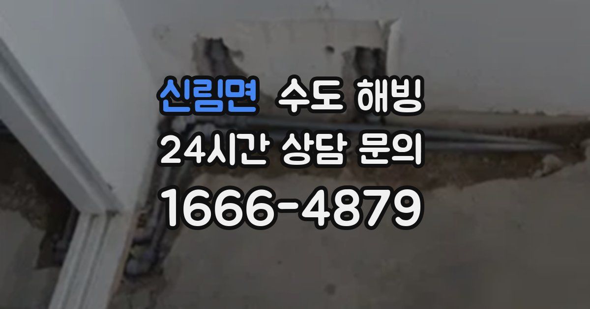 신림면 수도 해빙