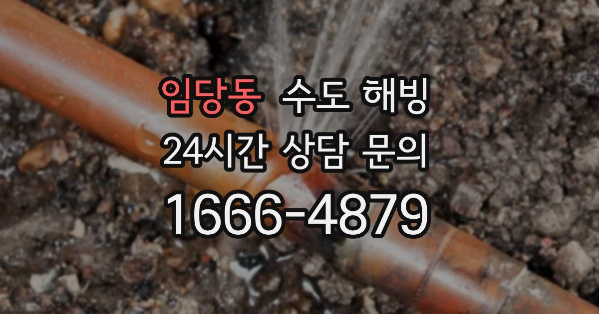 임당동 수도 해빙