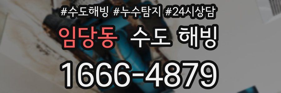 임당동 수도 해빙