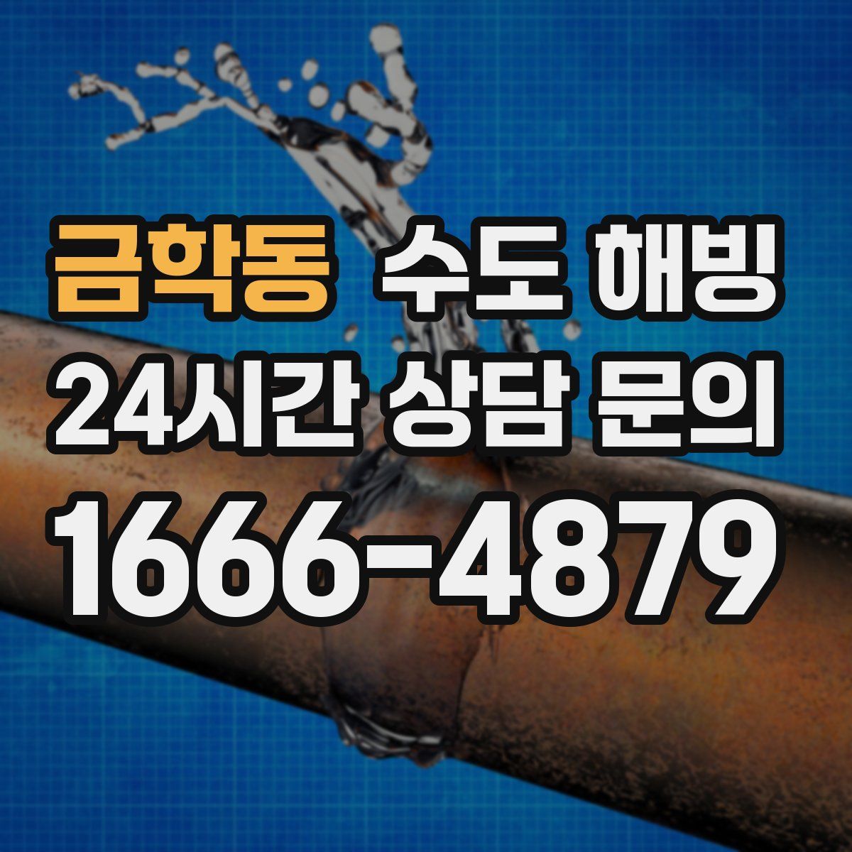 금학동 수도 해빙