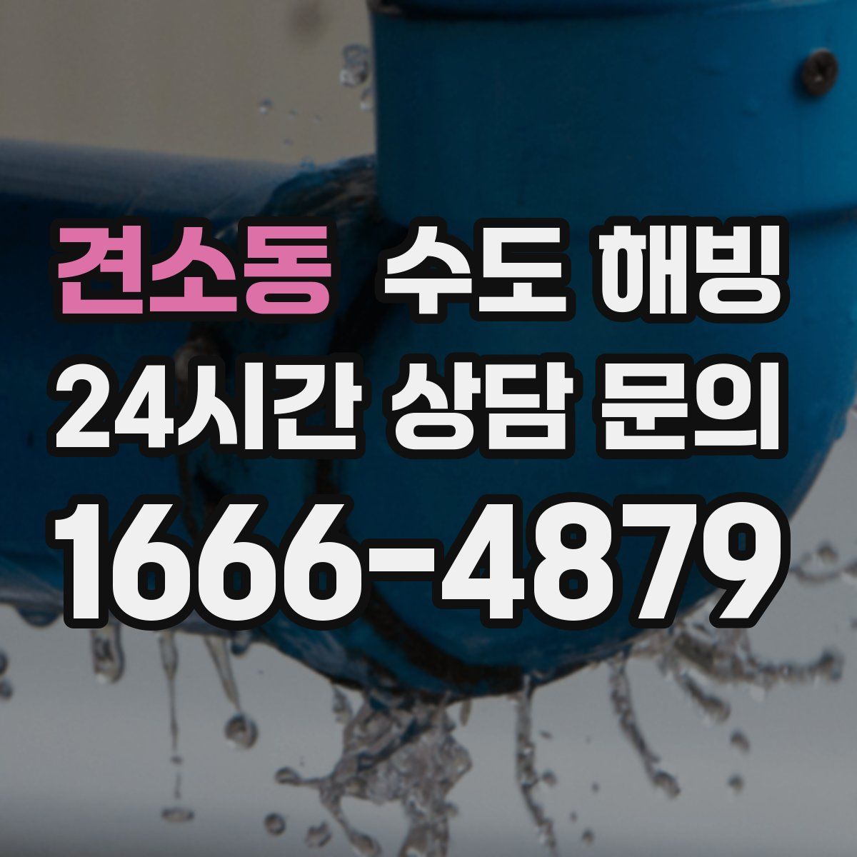 견소동 수도 해빙